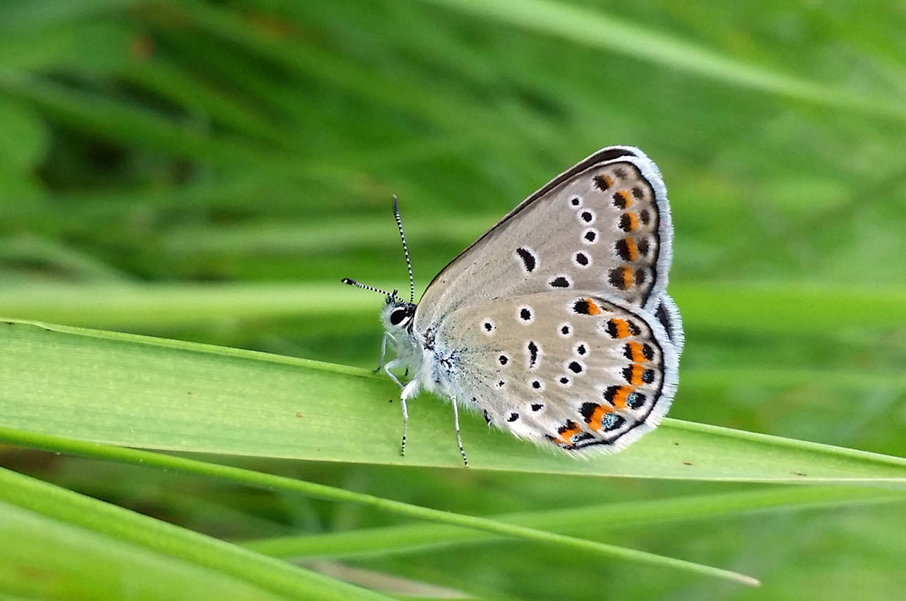 Area M gallery image 2