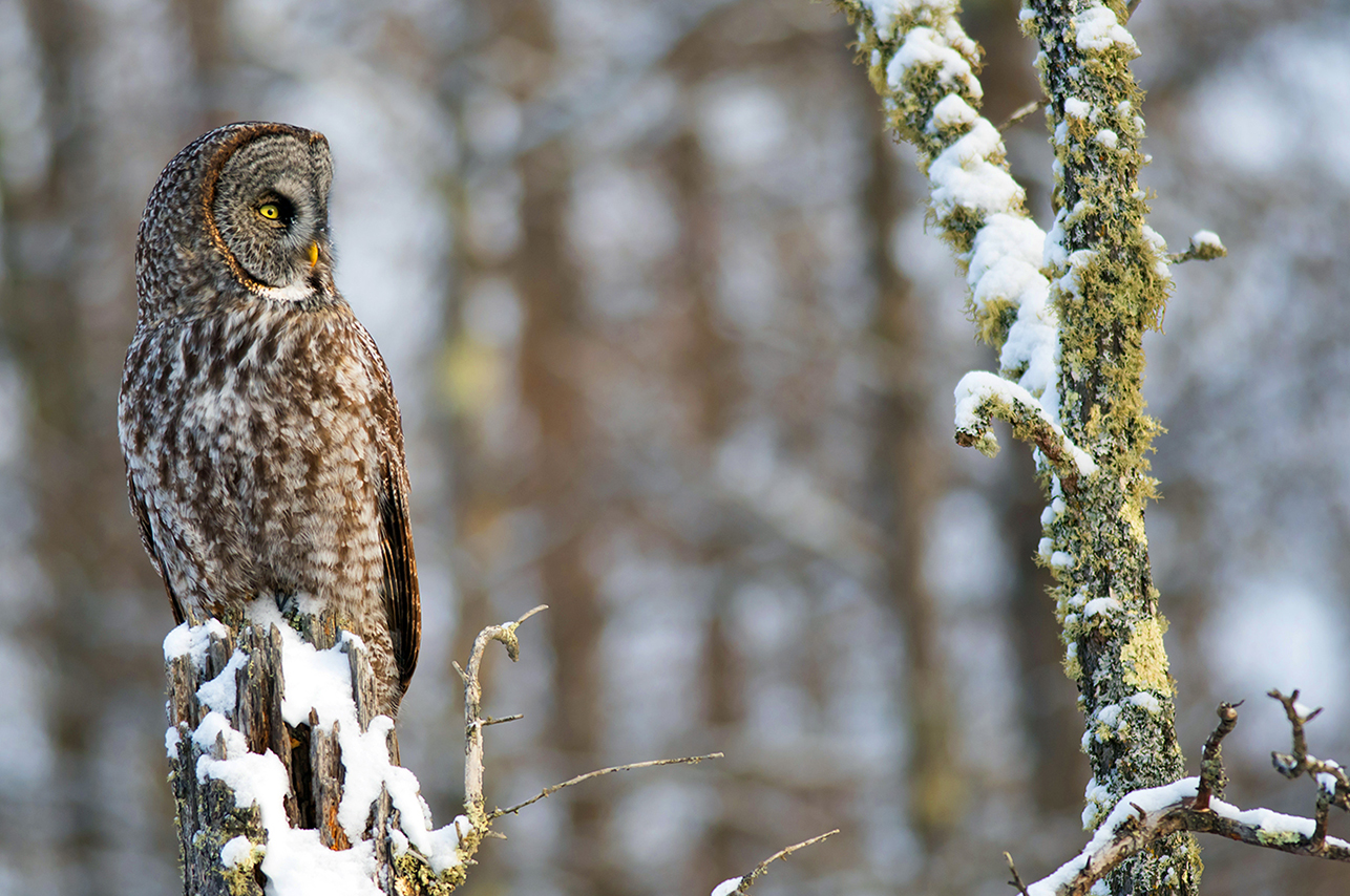 Area M gallery image 4