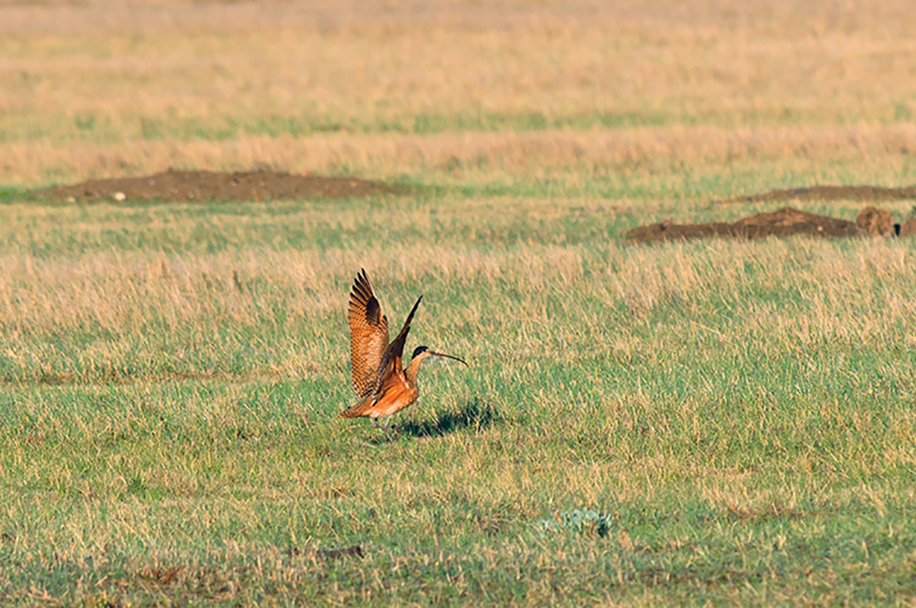 Area M gallery image 6